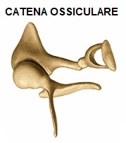 martello incudine e staffa